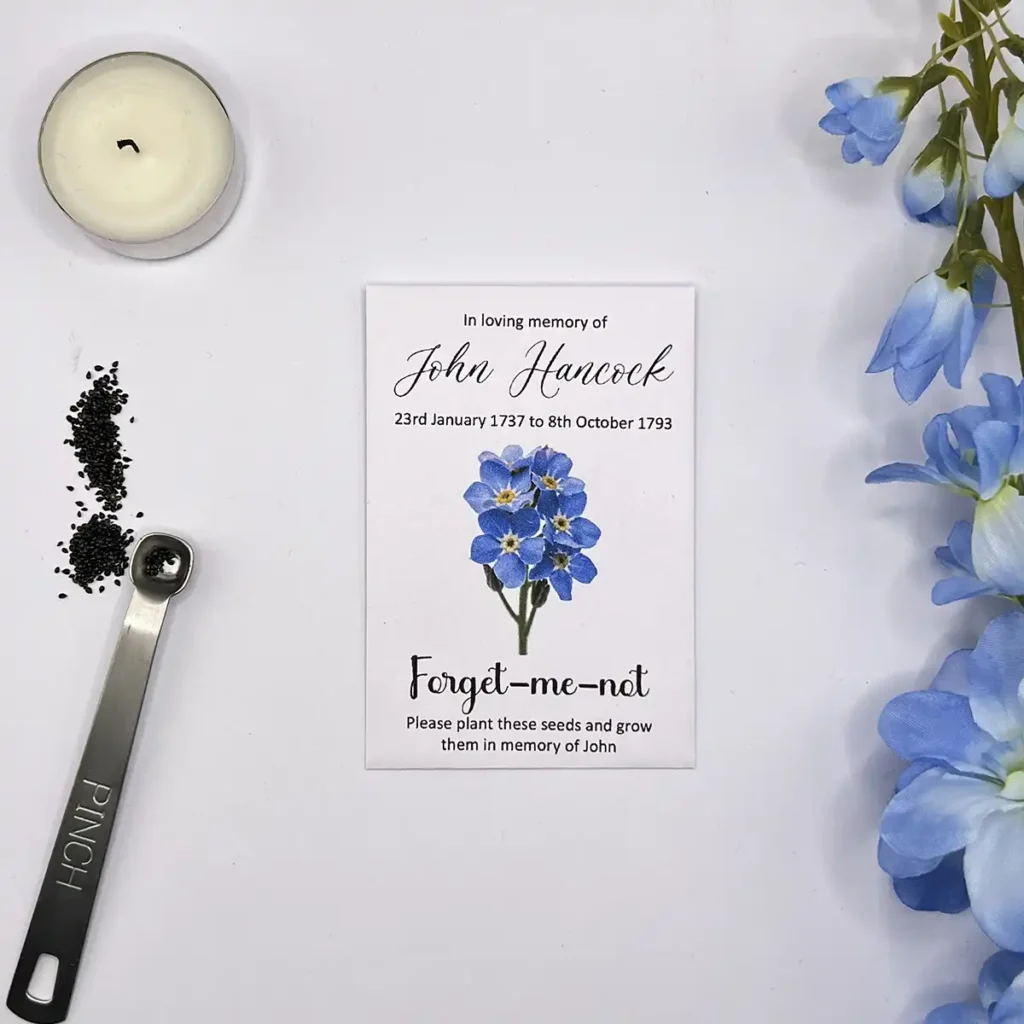 Artistic Forget Me Not Seeds For Funeral Scene Art Artistic Forget Me Not Seeds For Funeral Scene Art